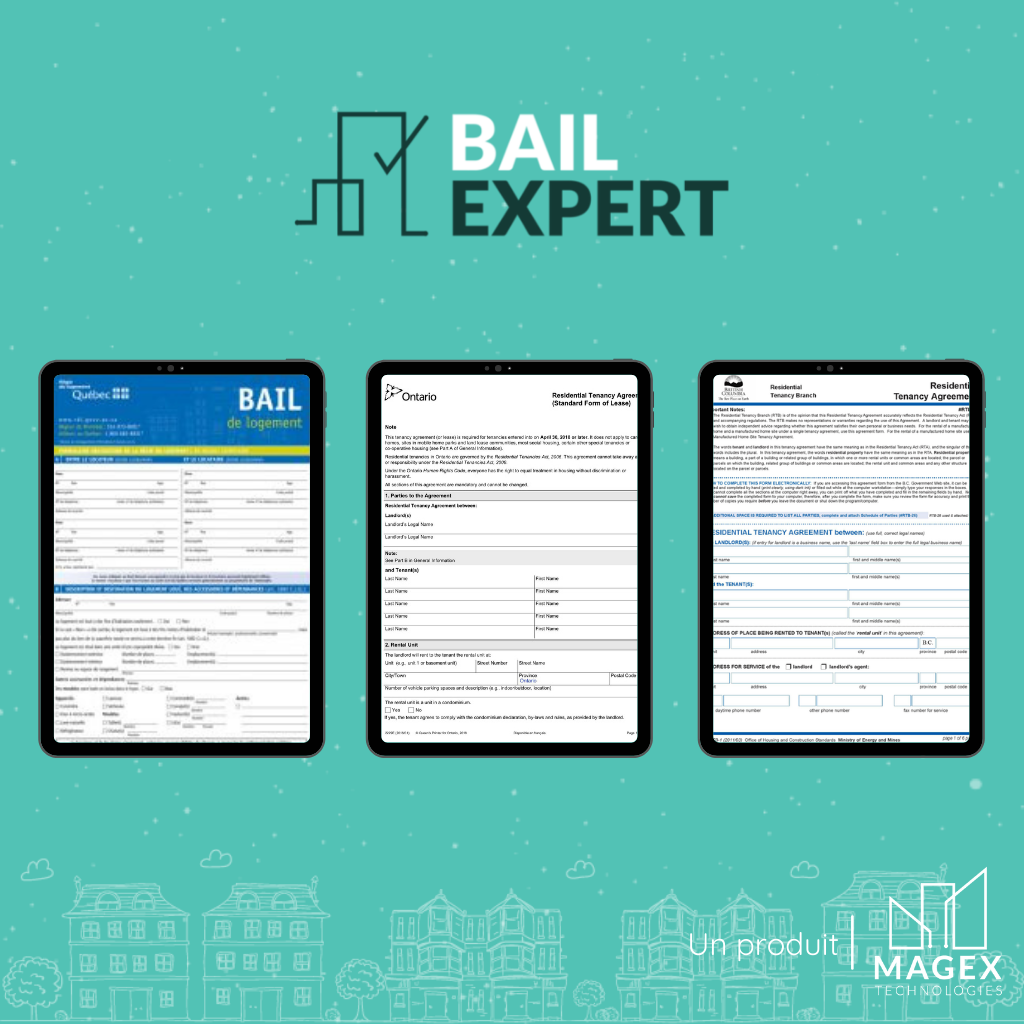 screenshot of Bail Expert